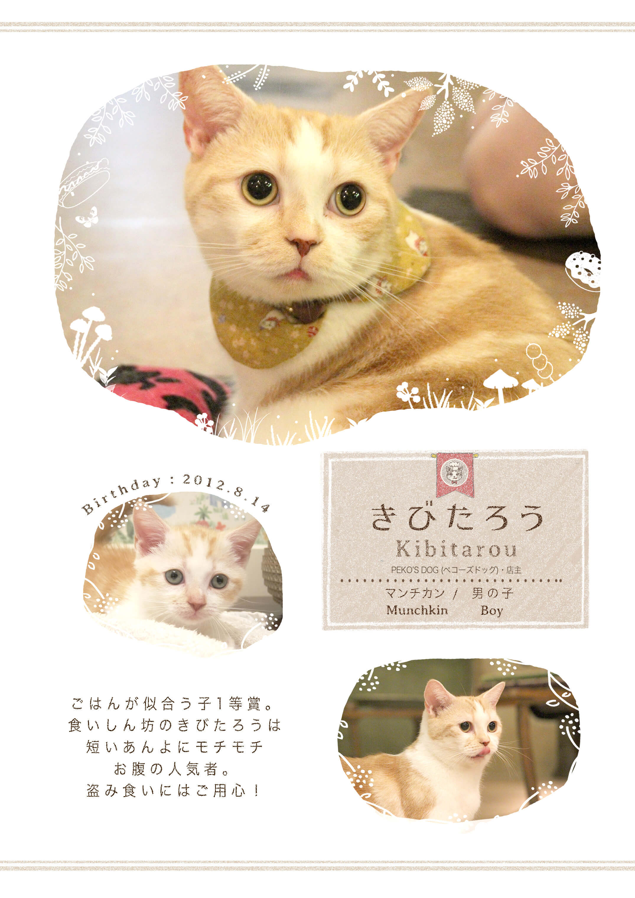 Cat Cafe てまりのおしろ